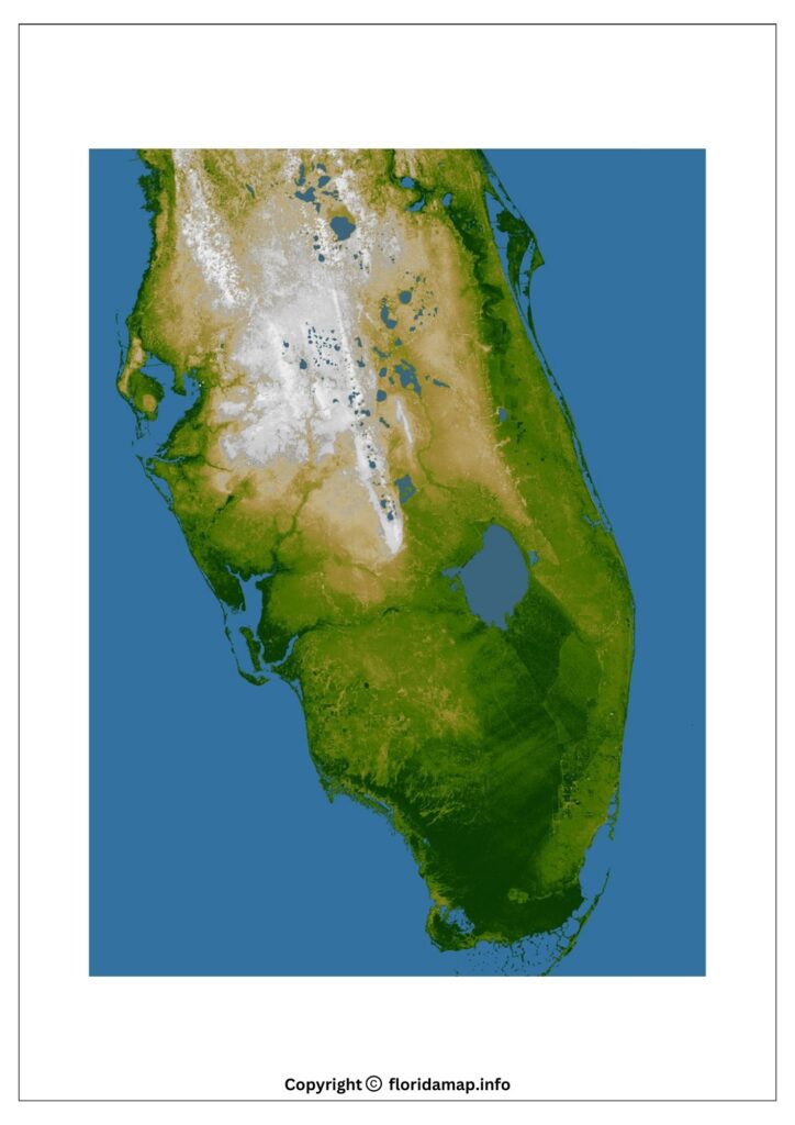 Florida Topographic Map