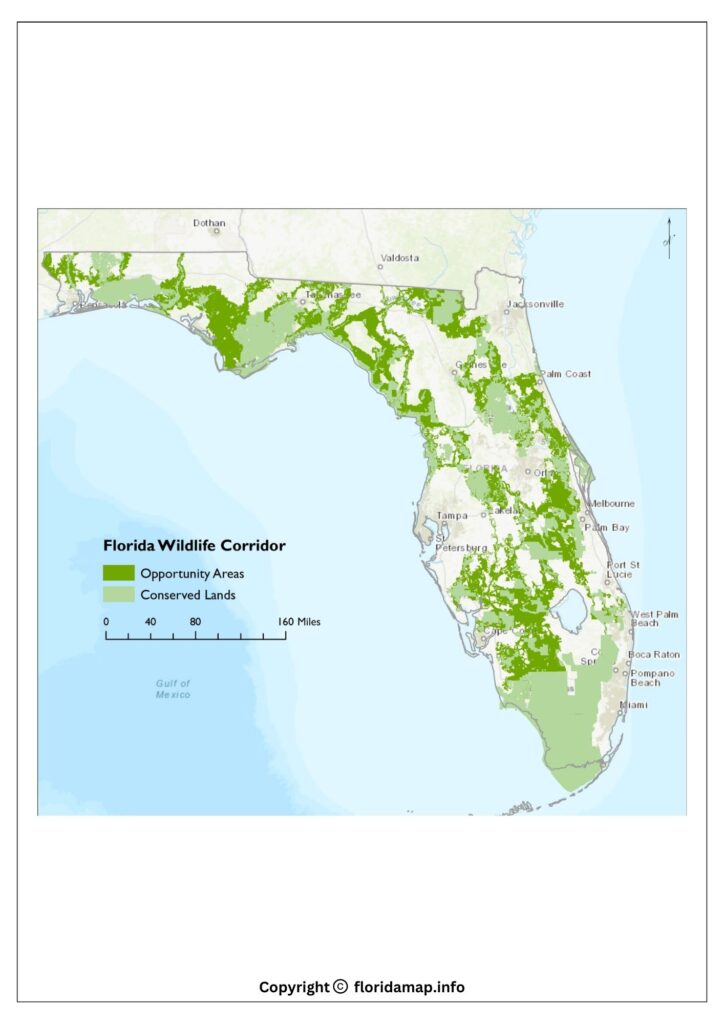 Florida Wildlife Map